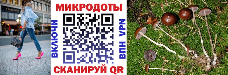 Псилоцибиновые грибы мицелий  Жуковский 