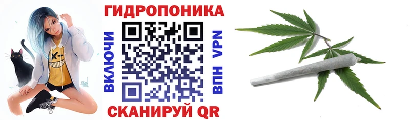 Каннабис SATIVA & INDICA  мега как войти  Жуковский 